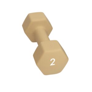 Abilica Hex DumbBell 2 kg