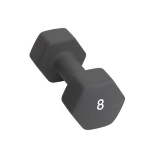 Abilica Hex DumbBell 8 kg