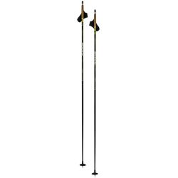 Swix Dynamic D3 Pole - Str. 175 - Skistave