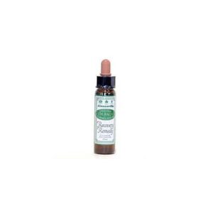 Dr. Bach Recovery remedy - 10 ml