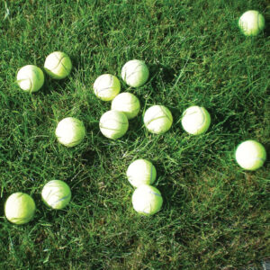 Tennisbolde i pose - 15 stk.