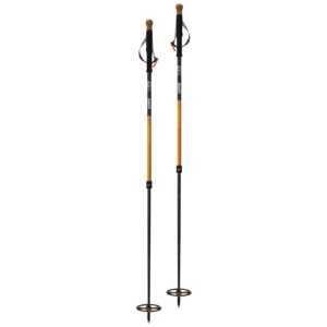 Swix Blizzard Mountain Explorer Str. 1100-1600 Skistave