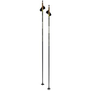 Swix Dynamic D3 Pole Str. 175 Skistave
