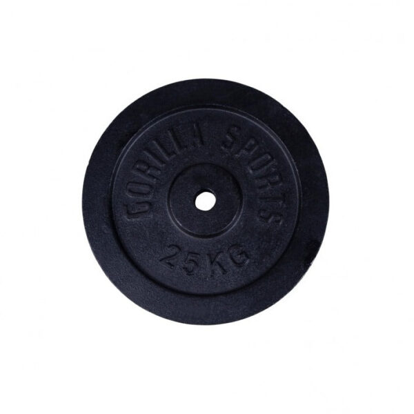 Vægtskive i jern - 25 kg (30 mm)