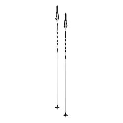 Swix I2 Pole - WHITE - Str. 1250 - Skistave